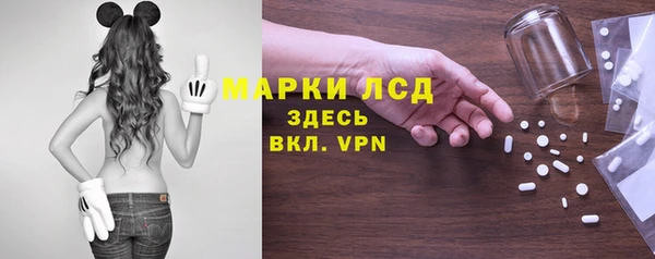 амф Ельня