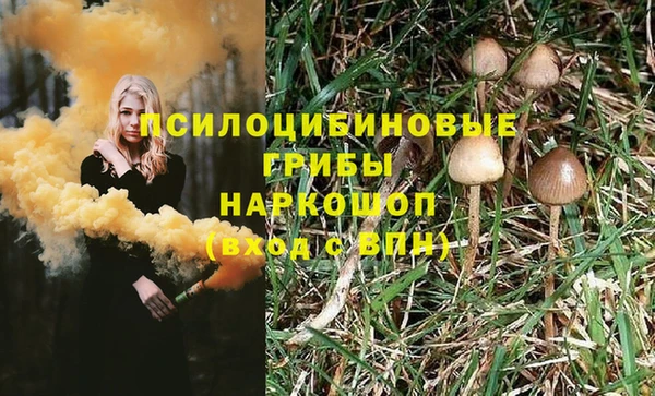 экстази Дмитриев