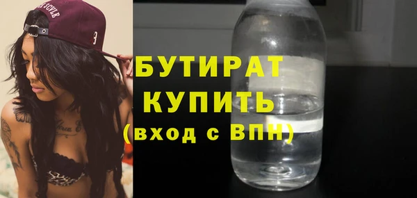 амф Ельня