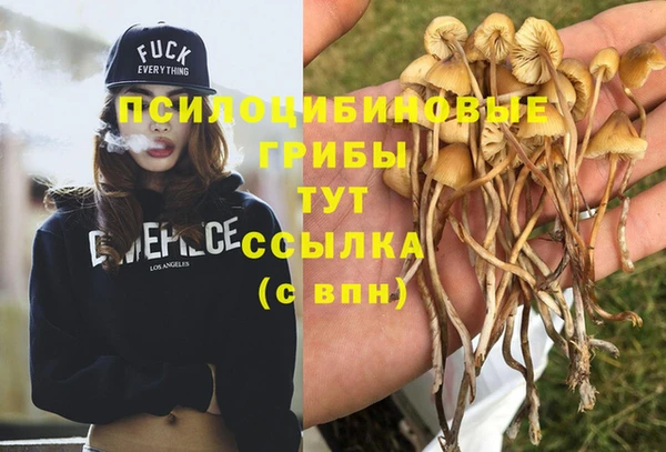 амф Ельня