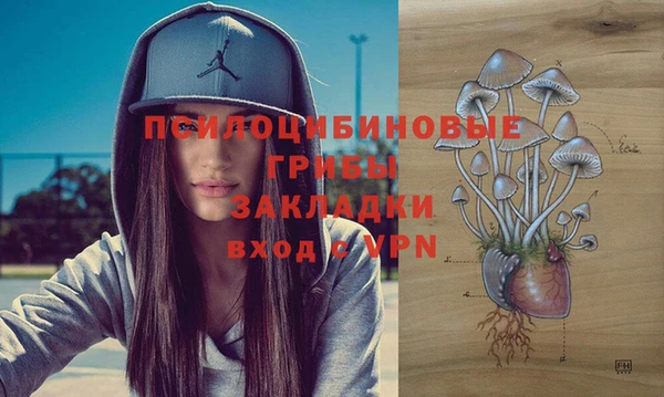 амф Ельня