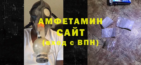 амф Ельня