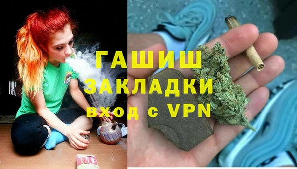 амф Ельня