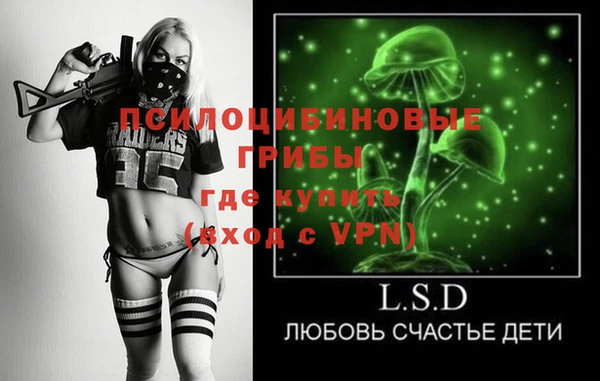 амф Ельня