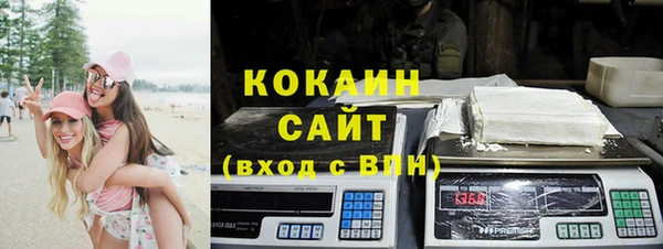 амф Ельня