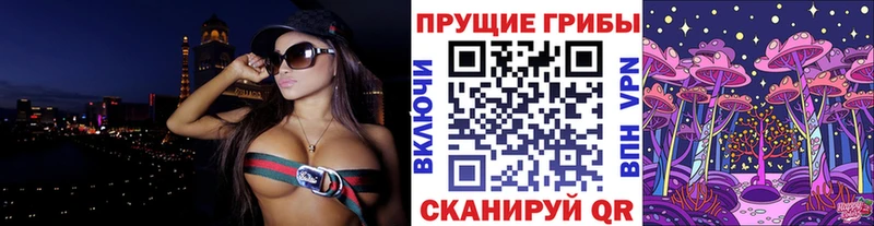 Псилоцибиновые грибы Cubensis  ссылка на мегу маркетплейс  Зеленодольск  дарнет шоп 